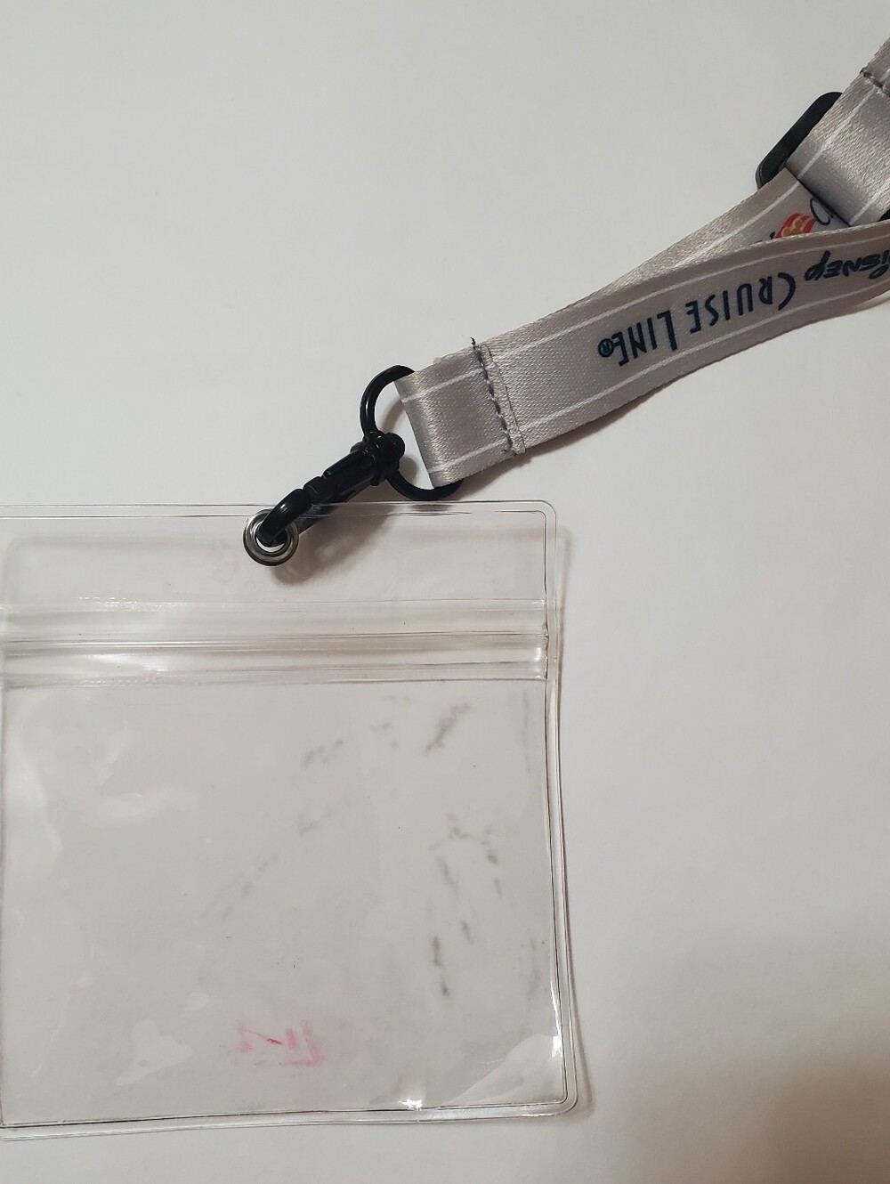 Disney Cruise Silver Lanyard